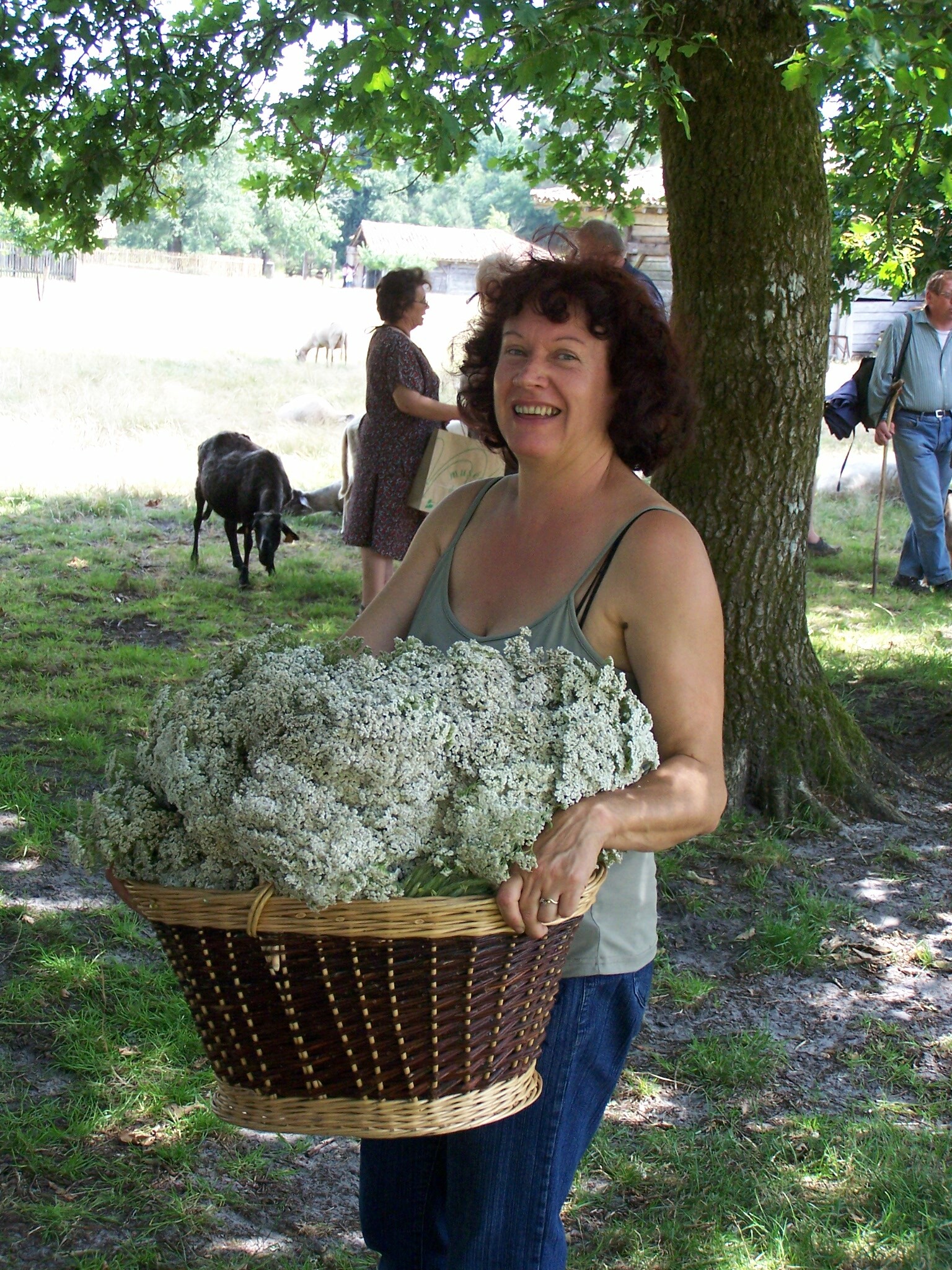 Fête de lété françoise 2007