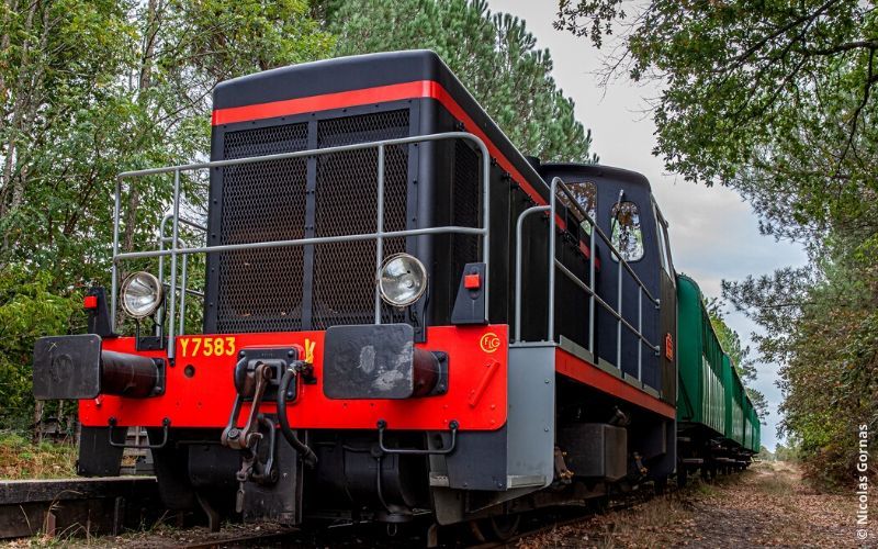 Le train de l'écomusée de Marquèze dans les Landes de Gascogne