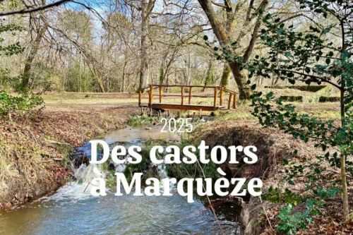 barrage castors ecomusée riviere foret