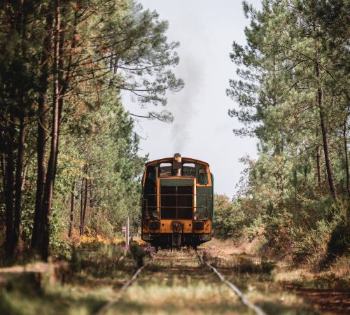 Le train de l'écomusée de Marquèze dans les Landes de Gascogne